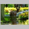 088_Koekenhof.jpg