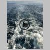 05_Bateau.jpg