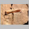 142_Kom-Ombo.jpg
