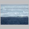 03_iceberg.jpg