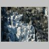 05_guillemots.jpg