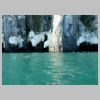 15_guillemots.jpg