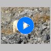 39_ours_ourson.jpg
