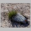 17_herbes.jpg