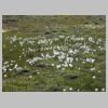 07_linaigrette.jpg
